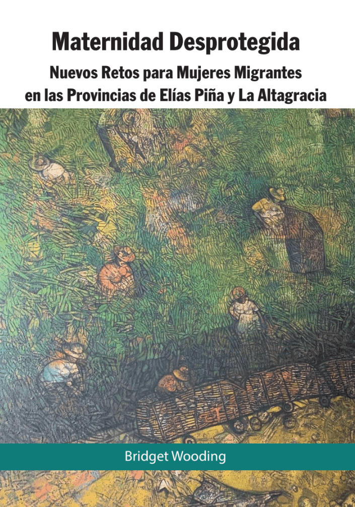 Portada de Maternidad Desprotegida